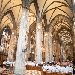 Chrisammesse 2025 / Erzdiözese Wien/ Schönlaub, Stephan Schönlaub