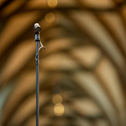 Allerheiligen Stephansdom / Erzdiözese Wien/Schönlaub, Stephan Schönlaub Allerheiligen Stephansdom