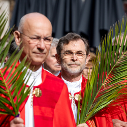 2025 Palmsonntag / Erzdiözese Wien/ Schönlaub, Stephan Schönlaub