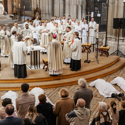 Diakonenweihe 2024 / Erzdiözese Wien/ Schönlaub