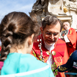 2025 Palmsonntag / Erzdiözese Wien/ Schönlaub, Stephan Schönlaub