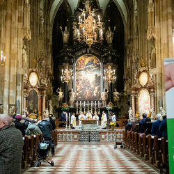 Welttag der Kranken / Erzdiözese Wien/Hafellner