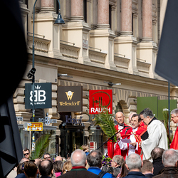 2025 Palmsonntag / Erzdiözese Wien/ Schönlaub, Stephan Schönlaub
