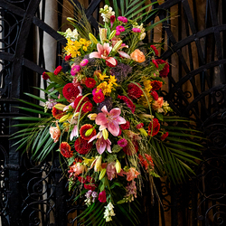 Fiacriusmesse 2025 / Erzdiözese Wien/Schönlaub, Stephan Schönlaub