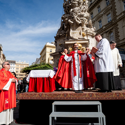 2025 Palmsonntag / Erzdiözese Wien/ Schönlaub, Stephan Schönlaub