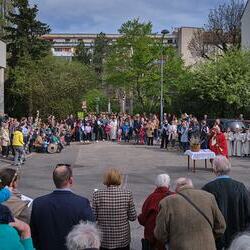 Palmsonntag Pfarre Heilige Mutter Teresa / Erzdiözese Wien/Feuchtner