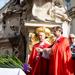 2025 Palmsonntag / Erzdiözese Wien/ Schönlaub, Stephan Schönlaub