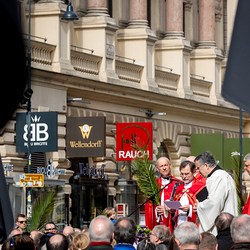 2025 Palmsonntag / Erzdiözese Wien/ Schönlaub, Stephan Schönlaub