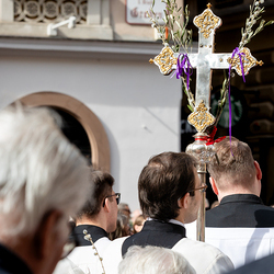 2025 Palmsonntag / Erzdiözese Wien/ Schönlaub, Stephan Schönlaub