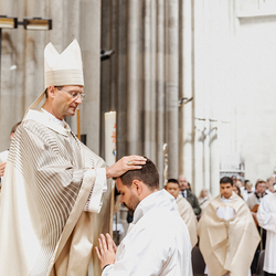 Diakonenweihe 2024 / Erzdiözese Wien/ Schönlaub