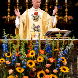 Fiacriusmesse 2025 / Erzdiözese Wien/Schönlaub, Stephan Schönlaub