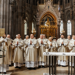 Diakonenweihe 2024 / Erzdiözese Wien/ Schönlaub