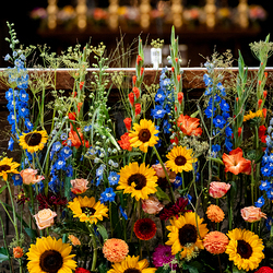 Fiacriusmesse 2025 / Erzdiözese Wien/Schönlaub, Stephan Schönlaub