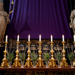 2025 Palmsonntag / Erzdiözese Wien/ Schönlaub, Stephan Schönlaub