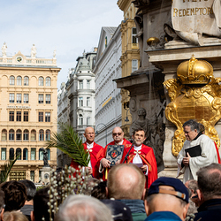 2025 Palmsonntag / Erzdiözese Wien/ Schönlaub, Stephan Schönlaub